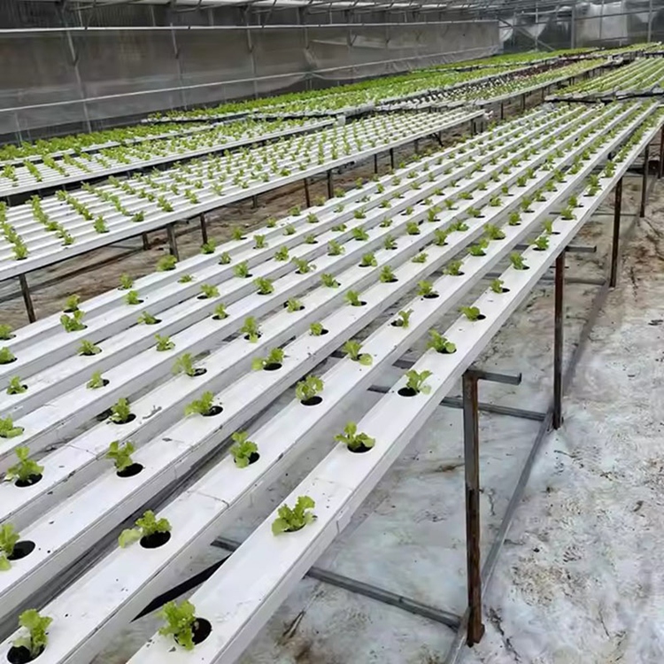 Greenhouse PVC NFT Hydroponic Channel