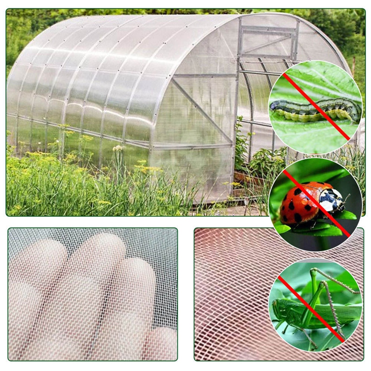 Plastic Anti-Insect Net